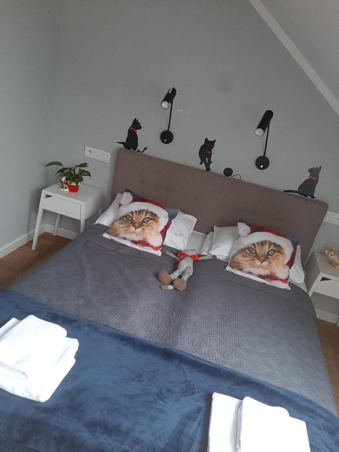 Apartamenty Koci Ogon Stary Toruń Εξωτερικό φωτογραφία